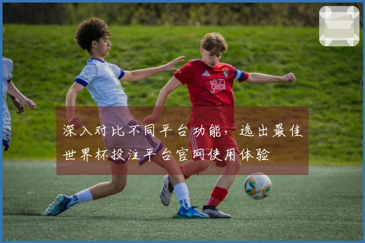 深入对比不同平台功能，选出最佳世界杯投注平台官网使用体验