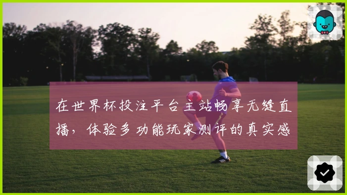 在世界杯投注平台主站畅享无缝直播，体验多功能玩家测评的真实感受