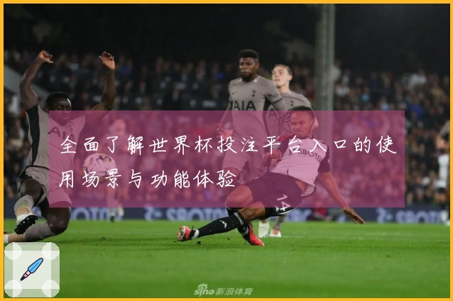全面了解世界杯投注平台入口的使用场景与功能体验