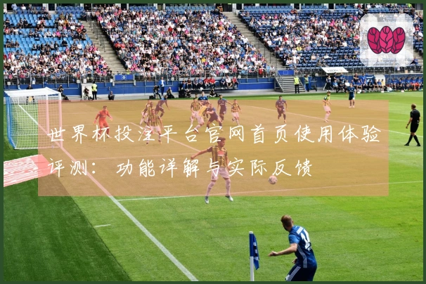 世界杯投注平台官网首页使用体验评测：功能详解与实际反馈