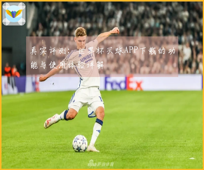 真实评测：世界杯买球APP下载的功能与使用体验详解