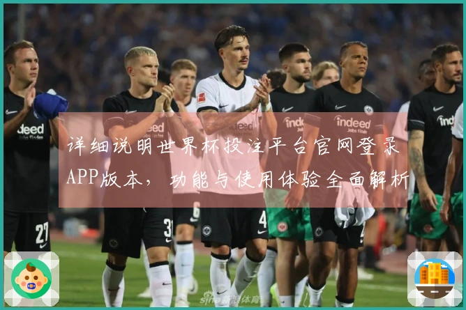 详细说明世界杯投注平台官网登录APP版本，功能与使用体验全面解析