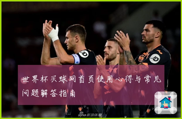 世界杯买球网首页使用心得与常见问题解答指南