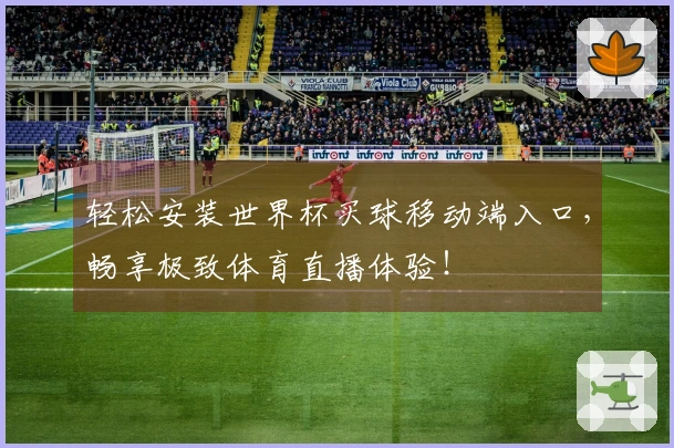 轻松安装世界杯买球移动端入口，畅享极致体育直播体验！