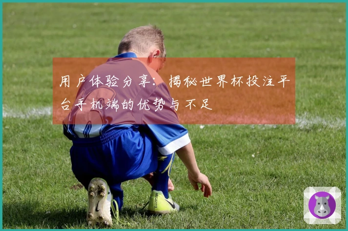 用户体验分享：揭秘世界杯投注平台手机端的优势与不足