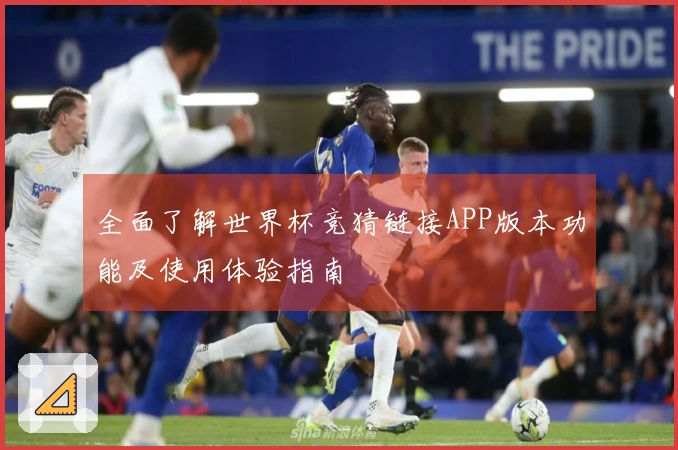 全面了解世界杯竞猜链接APP版本功能及使用体验指南