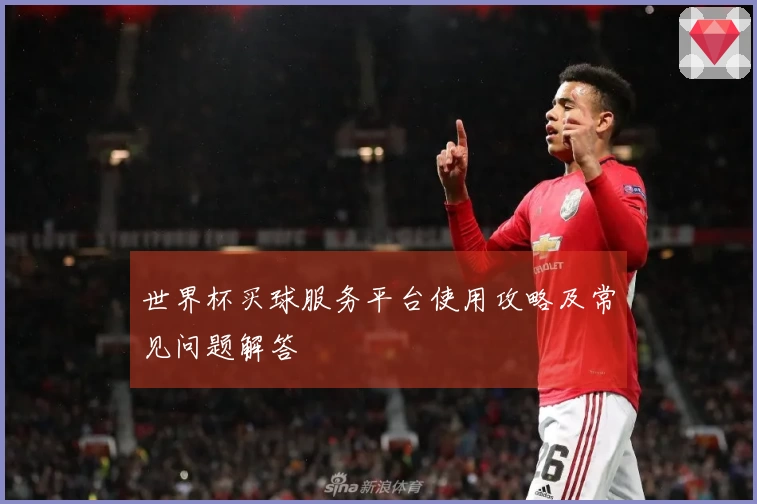 世界杯买球服务平台使用攻略及常见问题解答