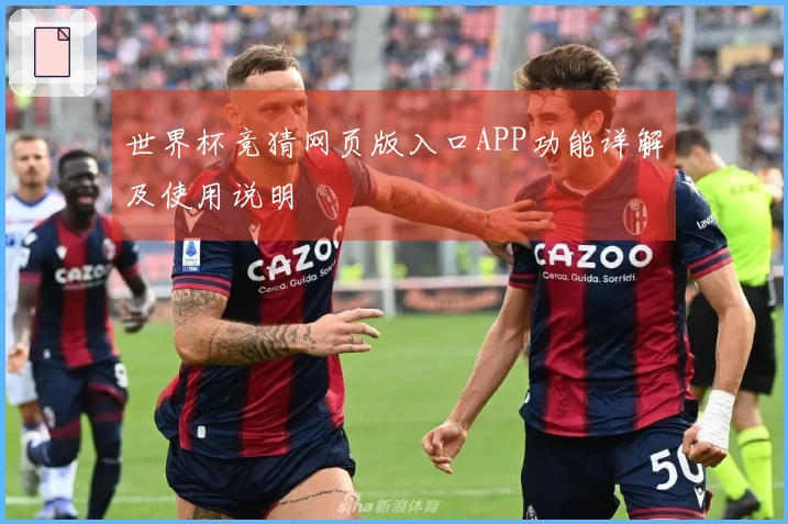 世界杯竞猜网页版入口APP功能详解及使用说明