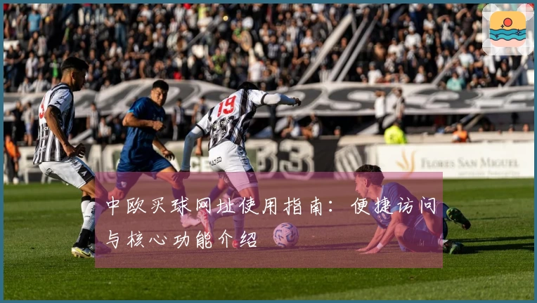 中欧买球网址使用指南：便捷访问与核心功能介绍